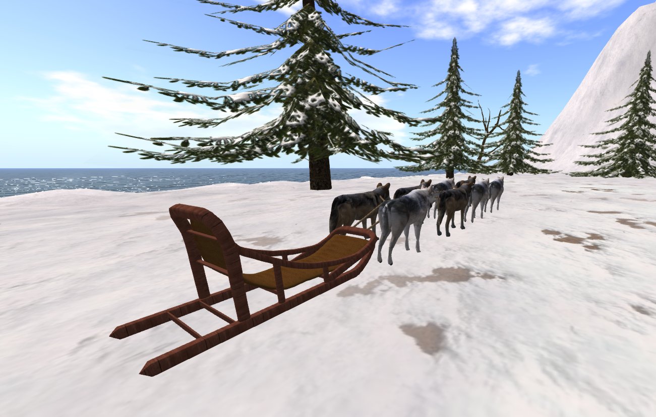 dog sled 1.jpg