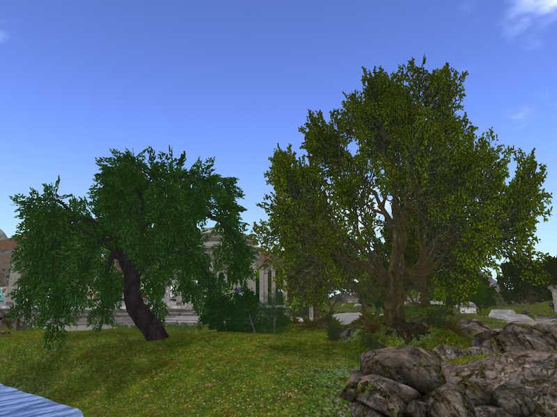 Trees classic midday.jpg