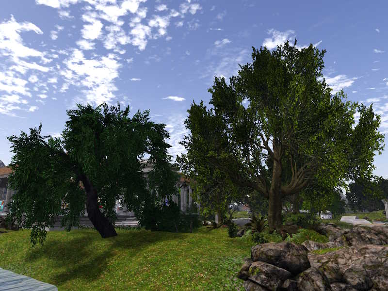 Trees new midday.jpg