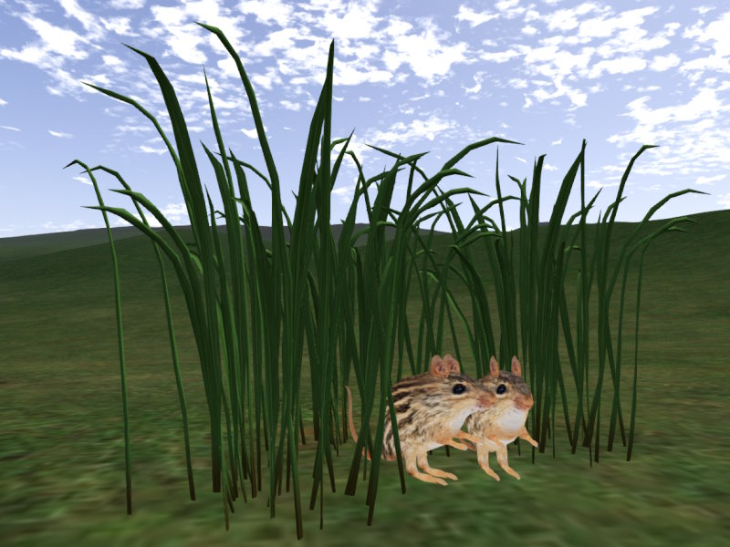 Gregg's Mice.jpg