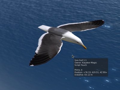 Seagull01.jpg