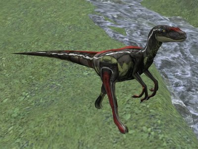 raptor1.jpg