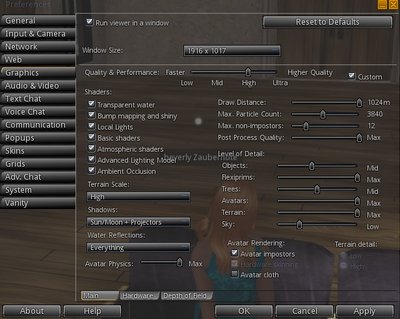 screenshot of the settings i use in singularity